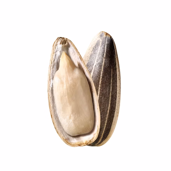 Raw Material Sunflower Seeds High Quality