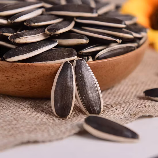 Raw Material Sunflower Seeds 361 Cheap Price and High Quality From China Factory