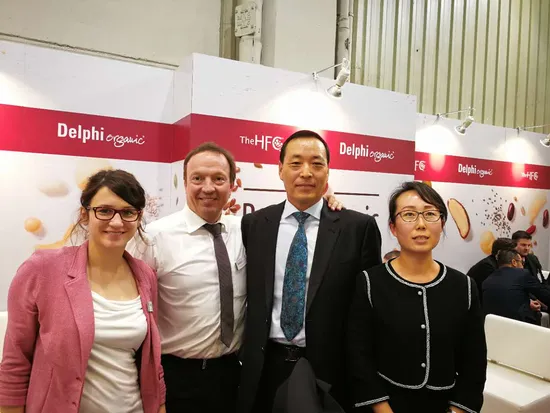 Raw Material Sunflower Seeds 361 Cheap Price and High Quality From China Factory