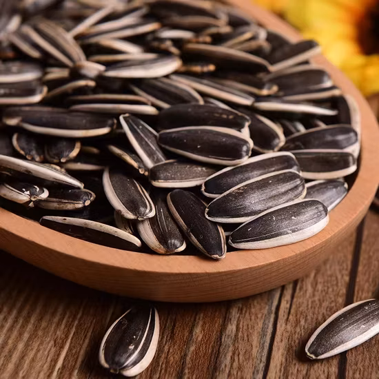 Raw Material Sunflower Seeds 361 Cheap Price and High Quality From China Factory