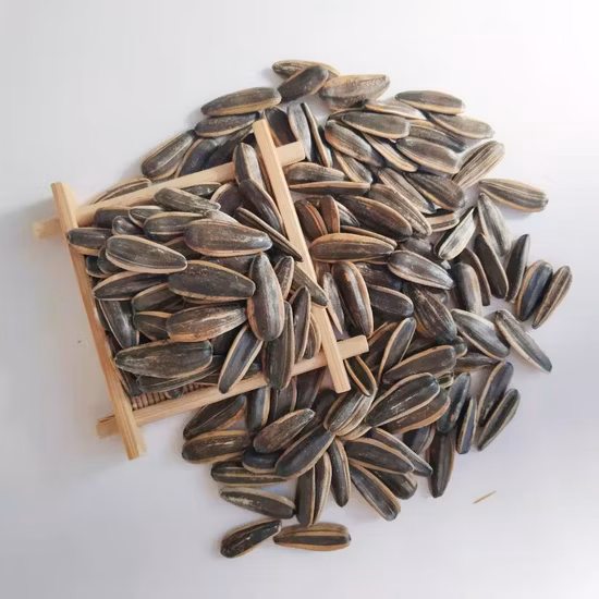 Mongólia Interior China Fábrica OEM Sal Fervido Multi Sabor Torrado Descascado Sementes de Girassol