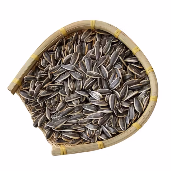 Atacado a granel grande alta qualidade preto chinês Xinjiang 361/363/601 sementes de girassol