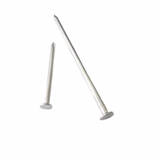 Shine Skin Sementes de Abóbora Lady Nail Tamanho Pequeno