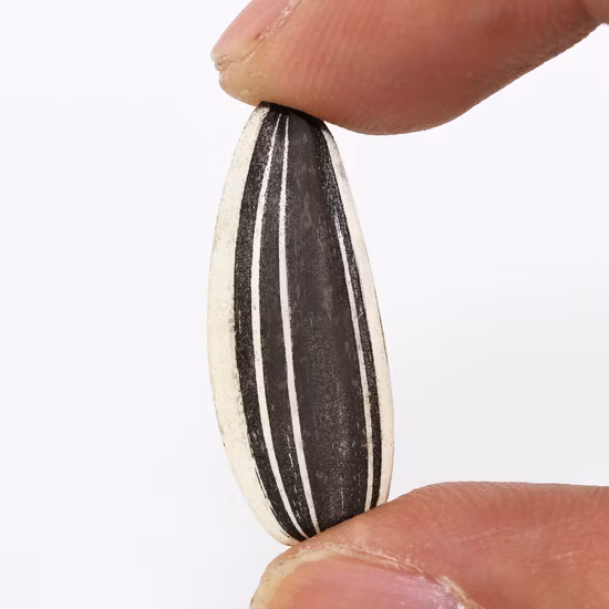 Entrega rápida crua branca preta chinesa de sementes de girassol grandes