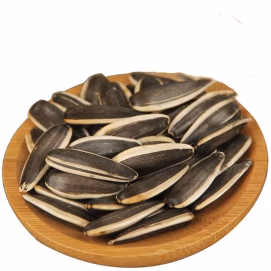 Matéria-prima 363 e 361 sementes de girassol da fábrica de origem